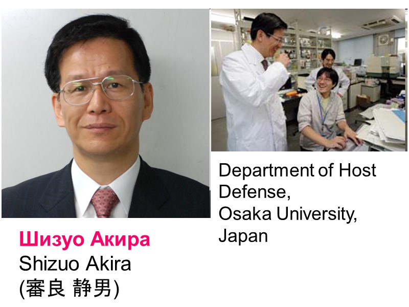 Шизуо Акира Shizuo Akira  (審良 静男) Department of Host  Defense,  Osaka